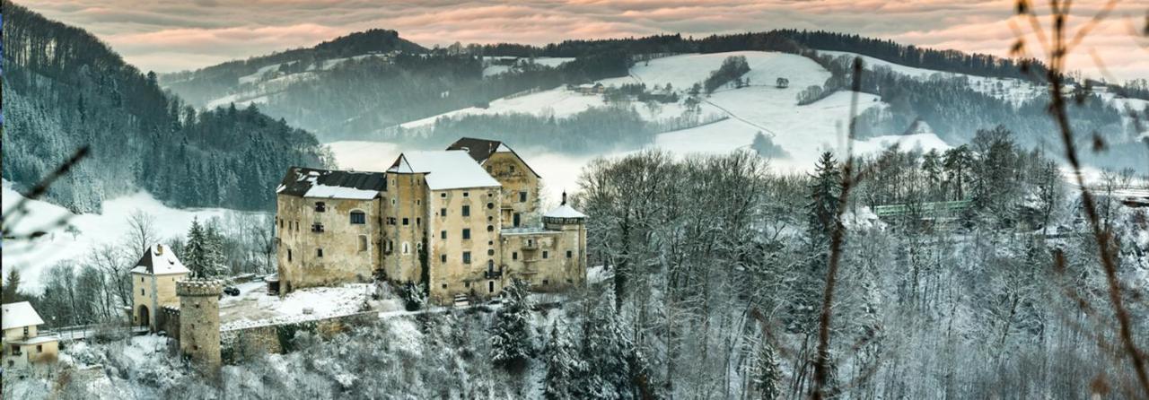 Burg Plankenstein Hotel Texing Exterior photo